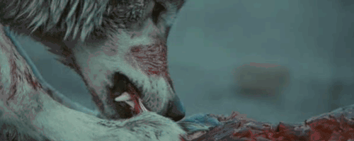photo tumblr_mkldyjvPlG1s9ct39o1_500_zps28a45b79.gif