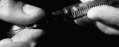 photo tumblr_mhwtedDf3r1qlnu8mo1_500_zpstdcyq68x.gif