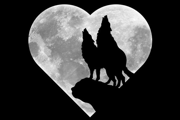  photo wolf-heart-moon-7489-l-jpg_zpsc1e082fa.jpg
