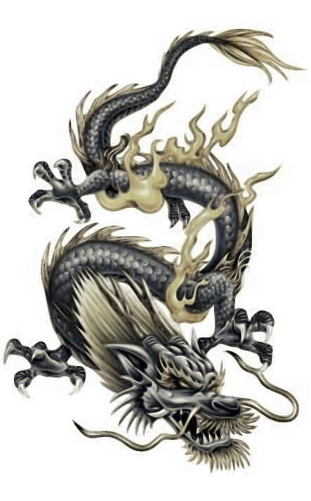 Bilder drachen tattoos 32 Drachen