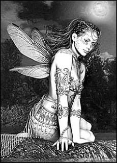 fairy photo: fairy 8T-10619b.jpg
