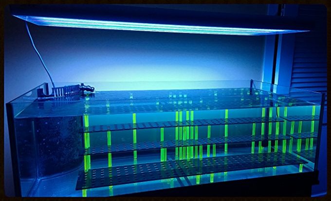 71d39b57-c866-47d5-bfd0-3a5c53cd52af_zps