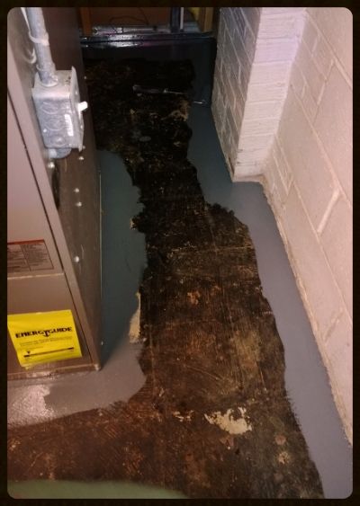 a1aaba64-d1de-41e9-b348-34e696f126e9_zps