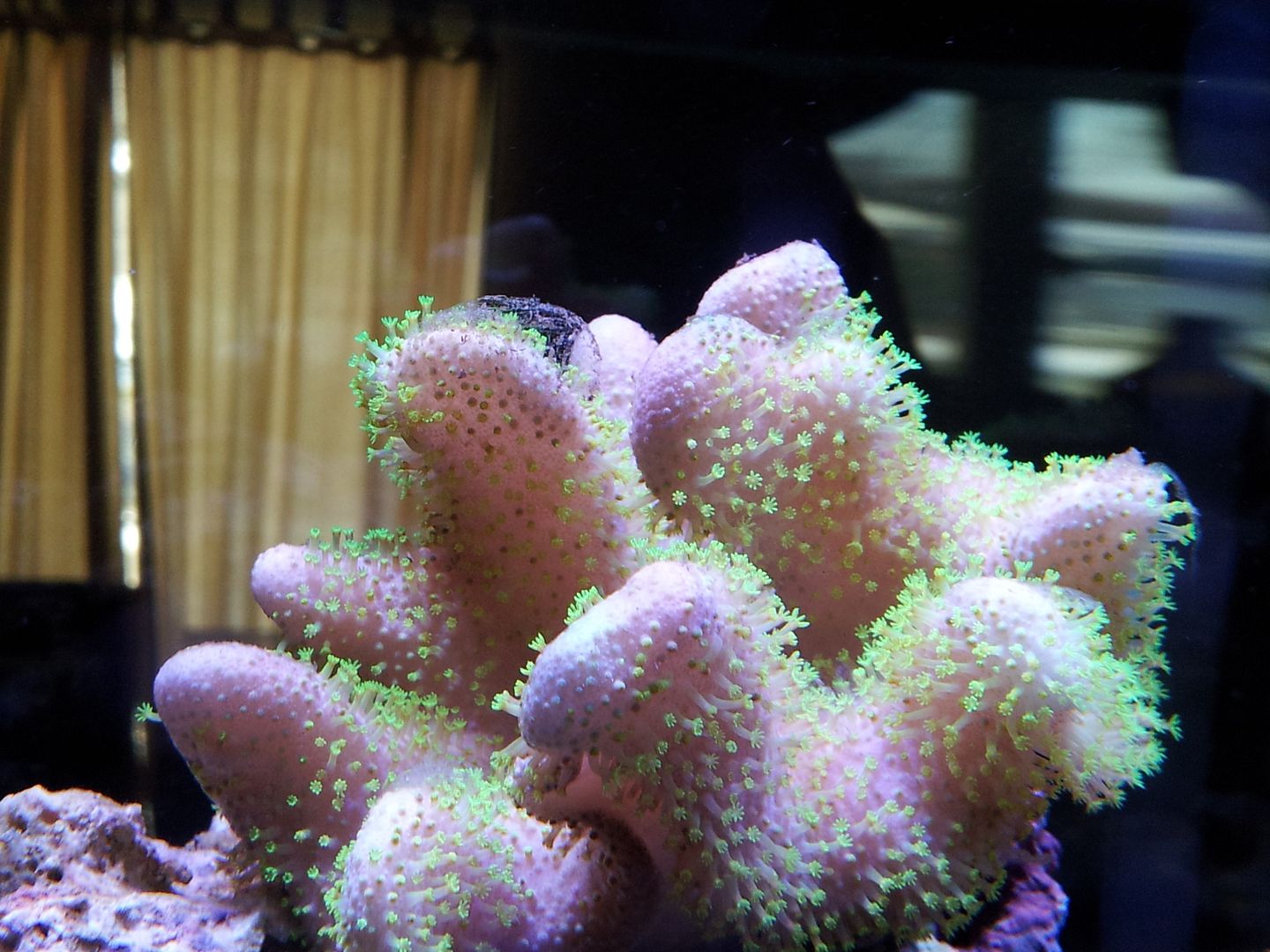 20130326_094548_zps92d31a07.jpg