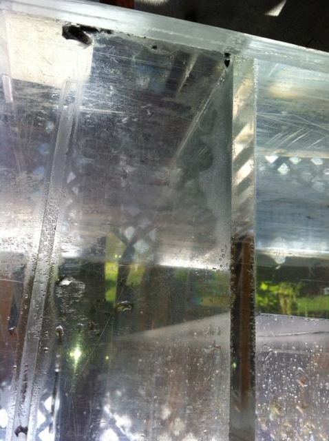 image5_zps96ee9415.jpeg