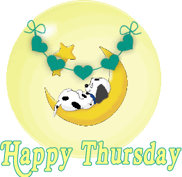 Thursday Photo Picture