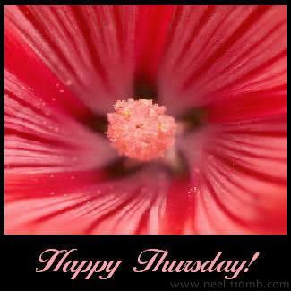 Thursday Photo Picture