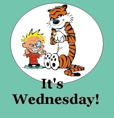 Wednesday Photo Picture