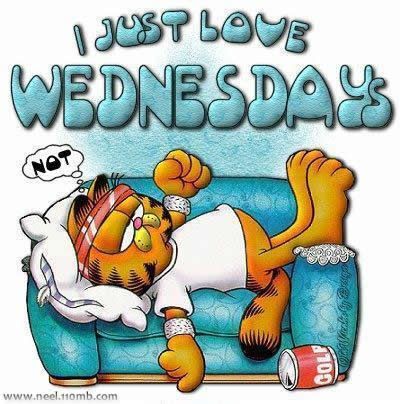 Wednesday Photo Picture