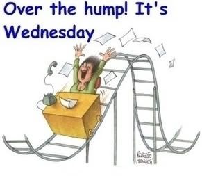 Wednesday Photo Picture