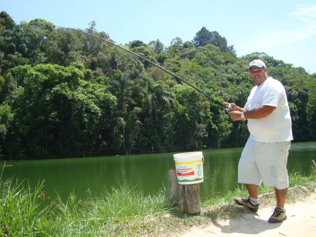 Imagem Postada