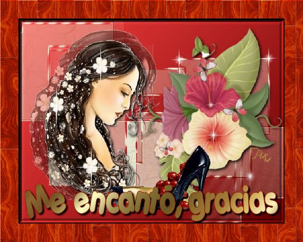 ladyroja4.jpg picture by CARICIAS_DE_PIA