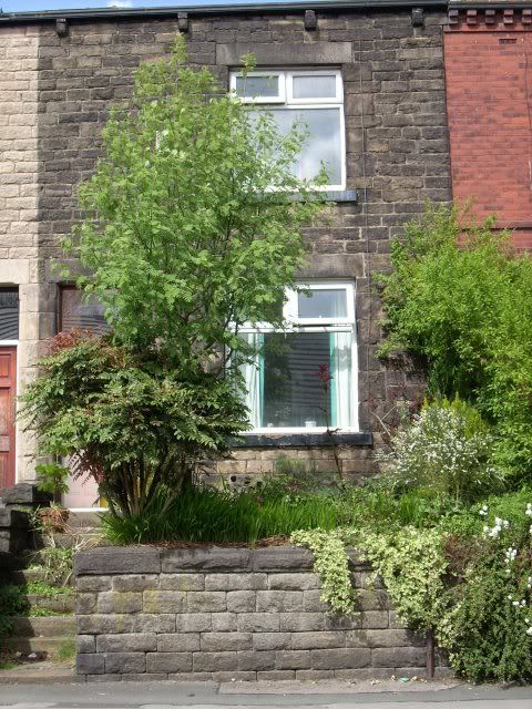 DSCN0017-1.jpg