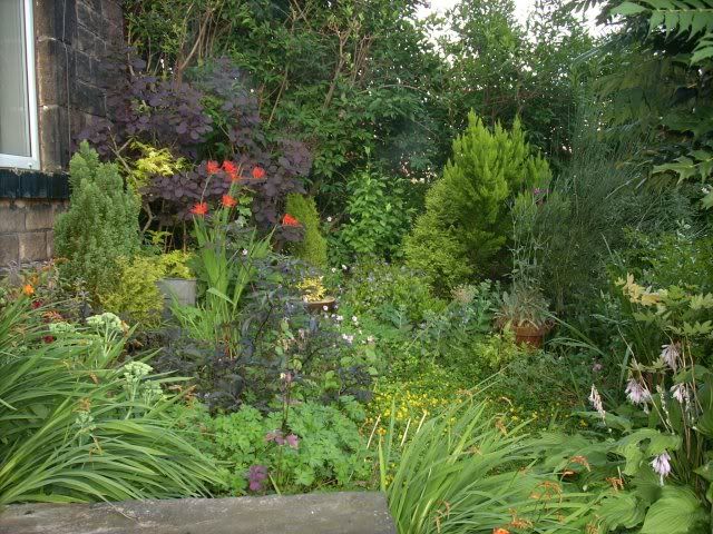 garden2.jpg