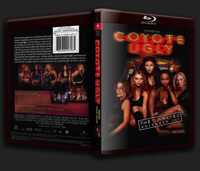 Coyote Ugly 2000 BRRip XviD AC3 FLAWL3SS [sparksden org] preview 0