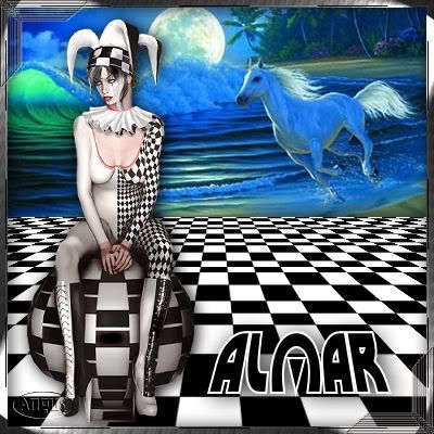 Almar_Harlequin_two.jpg picture by angusbric