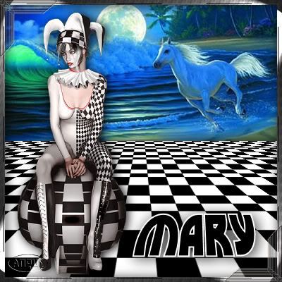 Mary_Harlequin_two.jpg picture by angusbric