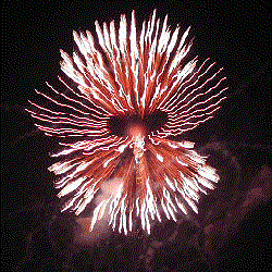 FIREWORKS photo: Fireworks fireworks2k.gif