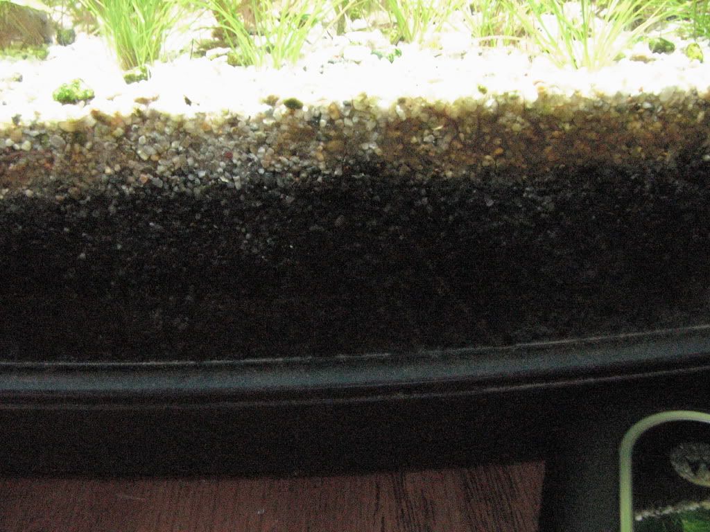 How Freshwater Deep Sand Beds Work