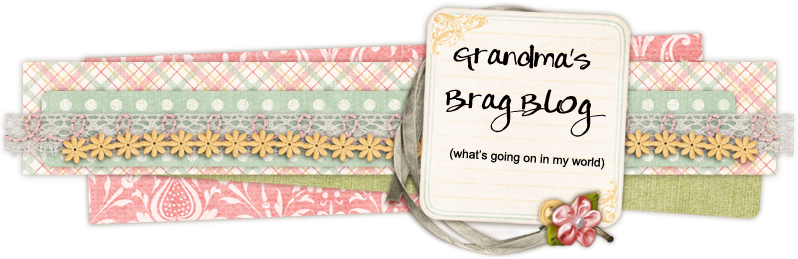 Grandma's Brag Blog