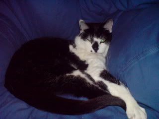 DSC00505-1.jpg