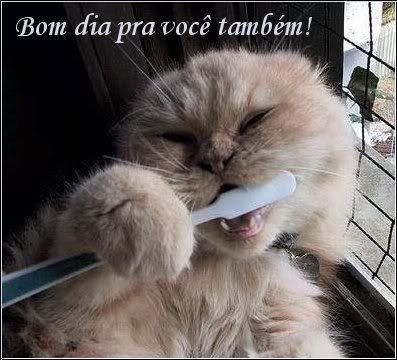 BOM DIA