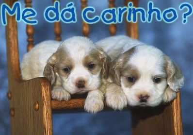 Me dá carinho