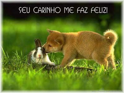 Seu carinho me faz feliz