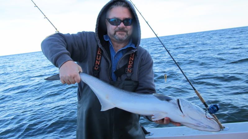 KING COD...A Running Report | NorEast Fishing Forum