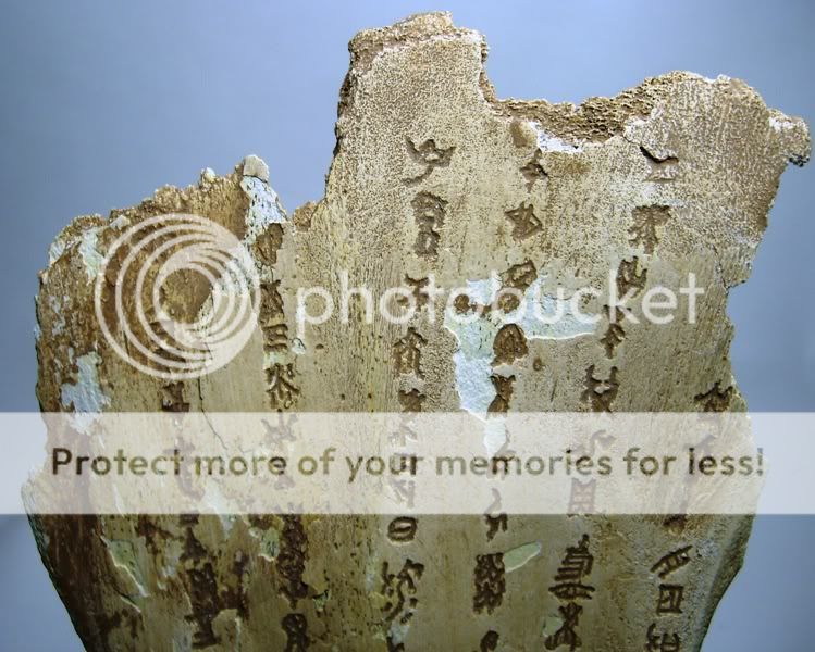 Chinese Ritual Oracle Bone  CHARACTERS INSCRIPTION  