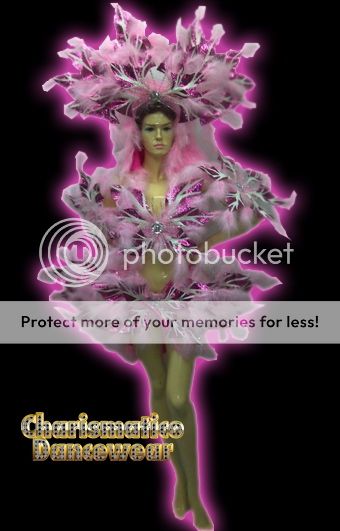 SUGAR PINK BURLESQUE Feather SHOW Headdress Costume set  