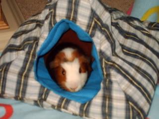 IMAG0049.jpg