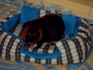 IMAG0056.jpg
