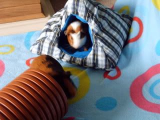 IMAG0057.jpg